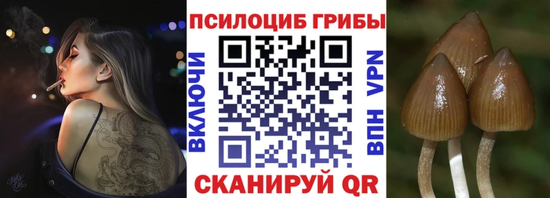 Галлюциногенные грибы Psilocybine cubensis  купить   Любань 